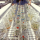 Illustration for article titled Not All GMO Plants Are Created Equal